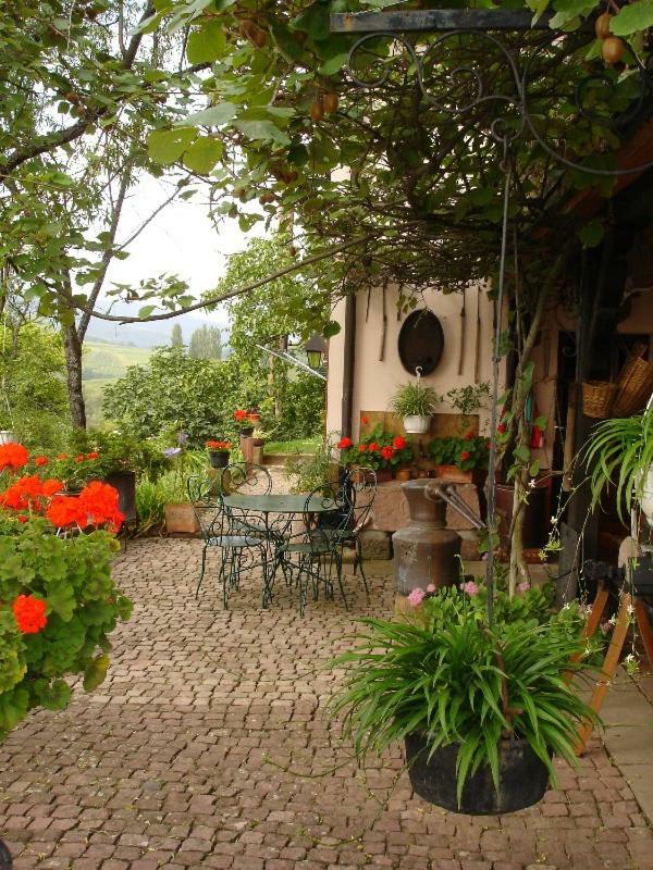 Apartment Le Sonnenglanz Beblenheim